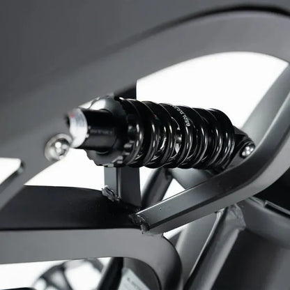 V20 Pro Fatbike | Zwart | 20 inch | 250W Elektrisch