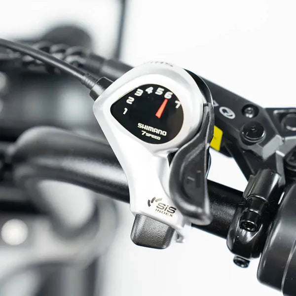 V20 Pro Fatbike | Zwart | 20 inch | 250W Elektrisch