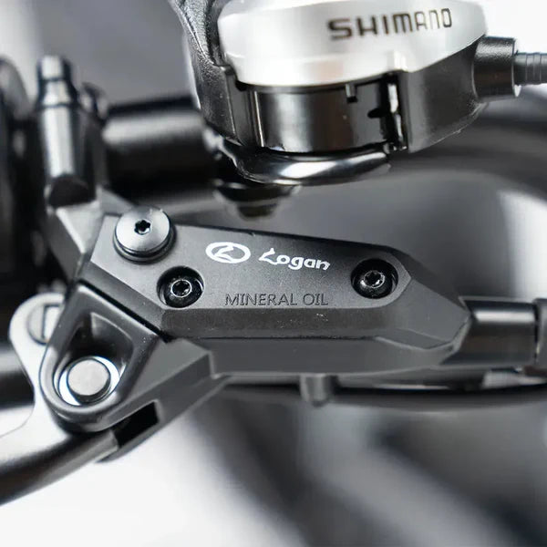 V20 Pro Fatbike | Zwart | 20 inch | 250W Elektrisch