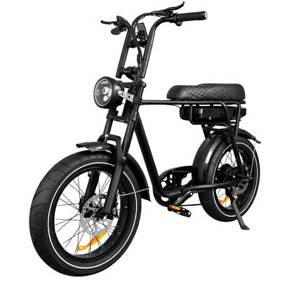 EB2 Pro / 250W - zwart