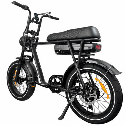 EB2 Pro / 250W - zwart