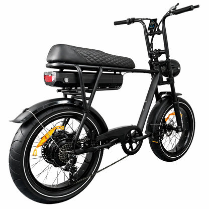 EB2 Pro / 250W - zwart