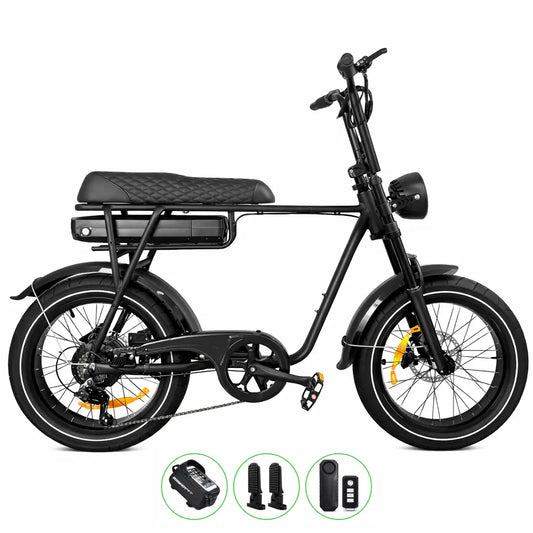 EB2 Pro / 250W - zwart