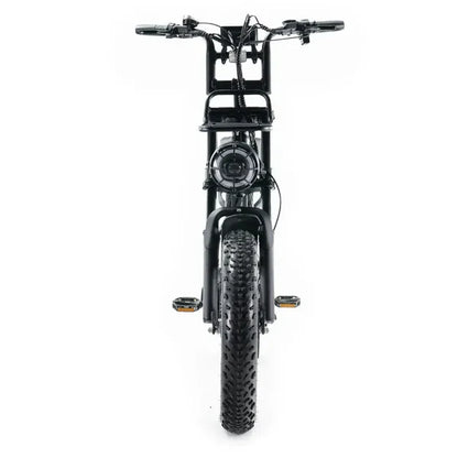 V20 Pro Fatbike | Zwart | 20 inch | 250W Elektrisch